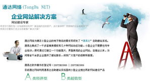 濮阳通达网络 为小型企业量身打造专业网站解决方案与推广服务