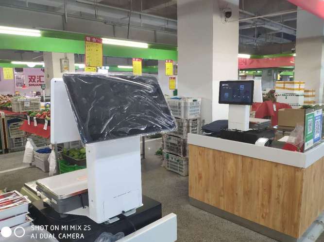 苏州中仑网络科技 匠心铸就数智未来，技术服务赋能行业革新